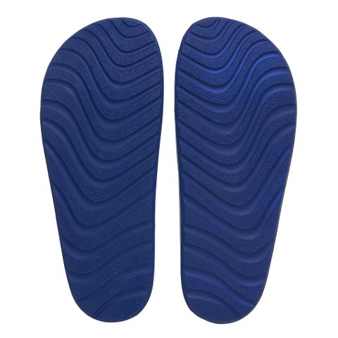 2221 Trắng viền xanh