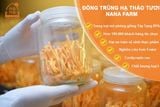 ĐÔNG TRÙNG HẠ THẢO TƯƠI NANA FARM