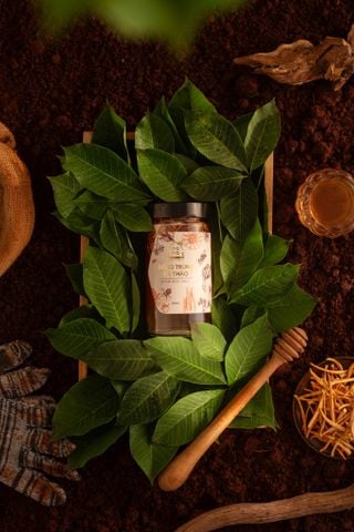 ĐÔNG TRÙNG HẠ THẢO NGÂM MẬT ONG HOA RỪNG NGUYÊN CHẤT
