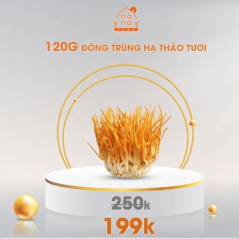 ĐÔNG TRÙNG HẠ THẢO TƯƠI NANA FARM