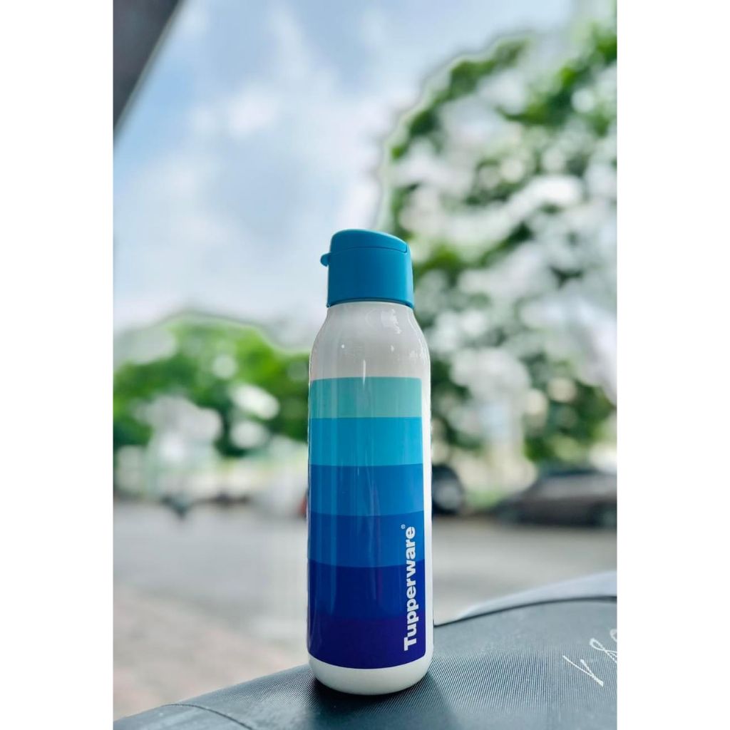 BÌNH NƯỚC ECO FANCY 750ML BLUE