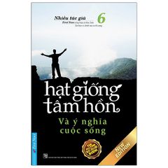 Hạt Giống Tâm Hồn - Tập 6: Và Ý Nghĩa Cuộc Sống (Tái Bản 2020)