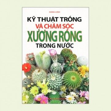 Kỹ Thuật Trồng và Chăm Sóc Xương Rồng Trong Nước