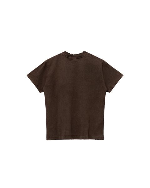  TWB2 - VINTAGE BABY TEE - EARTHY BROWN 