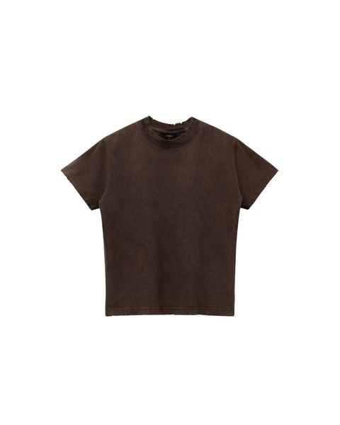  TWB2 - VINTAGE BABY TEE - EARTHY BROWN 