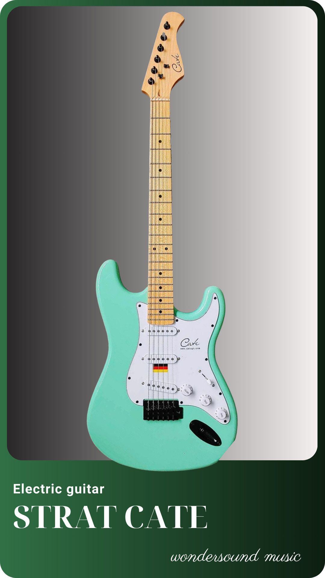  ELECTRIC GUITAR CATE QME02 