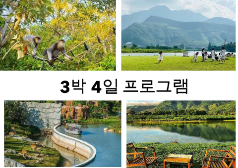 빈원더 남호이안-호아박(Hoa Bac) 생태관광 지역-손트라(Son Tra) 오래된 숲을 탐험하는 프로그램 프로그램