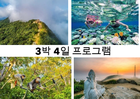 바크마 국립공원-참섬-손트라(Son Tra) 오래된 숲을 탐험하는 프로그램 프로그램