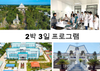 트라 끼에우 성모 마리아 성당-다낭 전통 의학 병원에서의 하루 프로그램