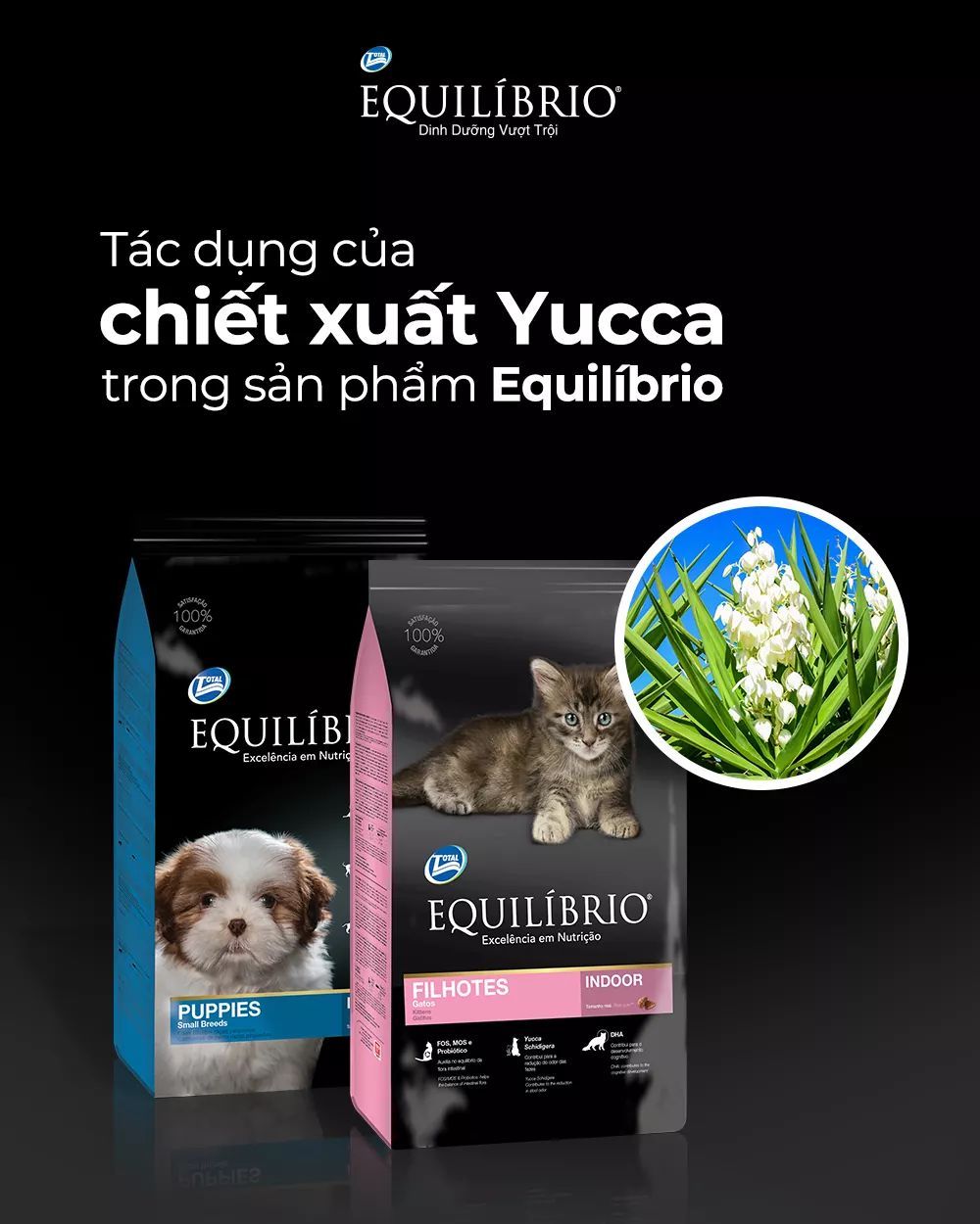  [ hạt chó ] EQUILIBRIO Small Breed Adult | Thức ăn hoàn chỉnh cho chó trưởng thành tầm vóc nhỏ - túi 2kg 