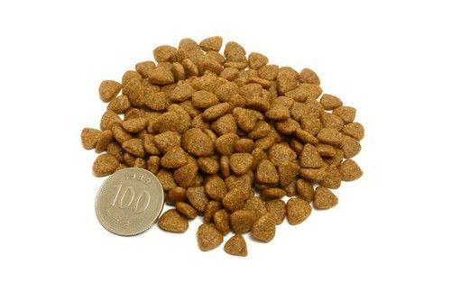  [ hạt mèo ]  Thức ăn cho mèo con Hàn quốc Catsrang Kitten 400g - 1,5kg 