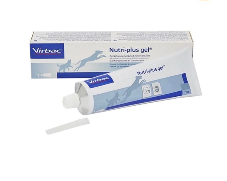  [ dinh dưỡng ] Virbac Nutri - plus Gel ăn dinh dưỡng cho chó mèo tuýp 120g 