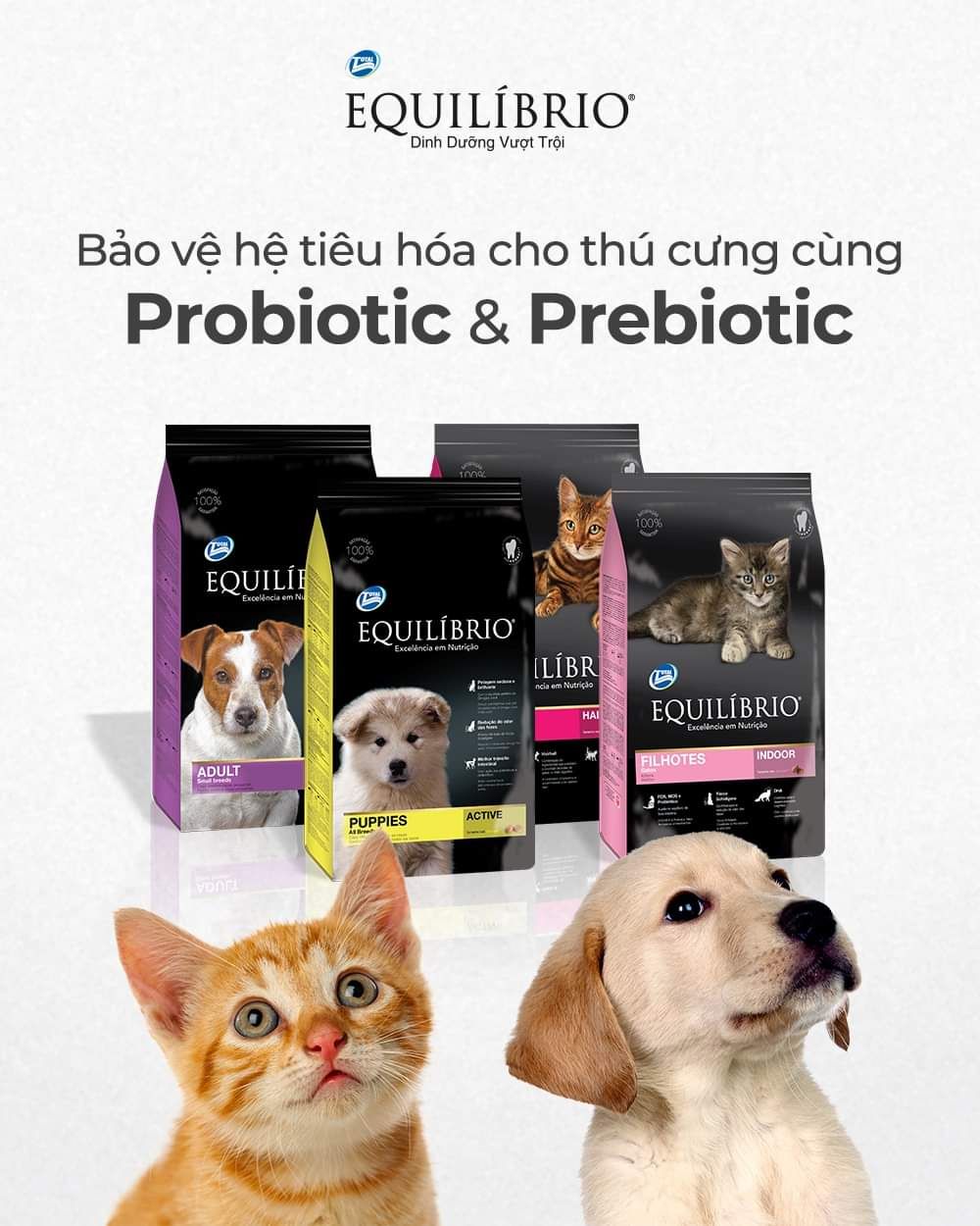  [ hạt chó ] Thức ăn chó hỗn hợp hoàn chỉnh cho chó con EQUILIBRIO puppies túi 2kg 