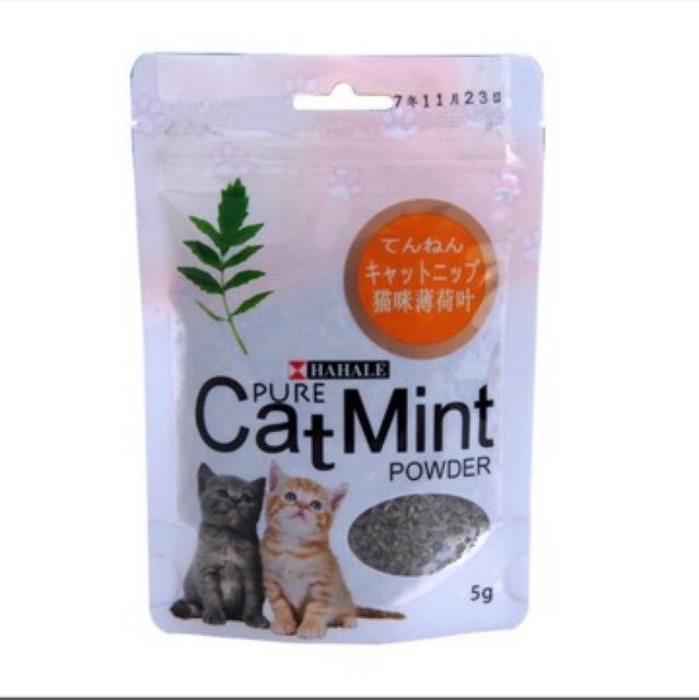 Cỏ Mèo Bạc Hà Cat Mint Tạo Sự Hứng Thú Cho Chó Mèo – Cauvangpetshop