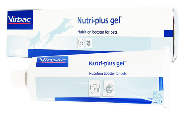  [ dinh dưỡng ] Virbac Nutri - plus Gel ăn dinh dưỡng cho chó mèo tuýp 120g 