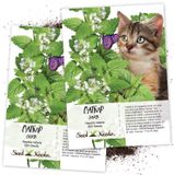  [ phụ kiện ] Cỏ Bạc Hà Cho Mèo - CATNIP - Gói 5g - Giúp mèo thư giãn, tiêu hóa tốt 