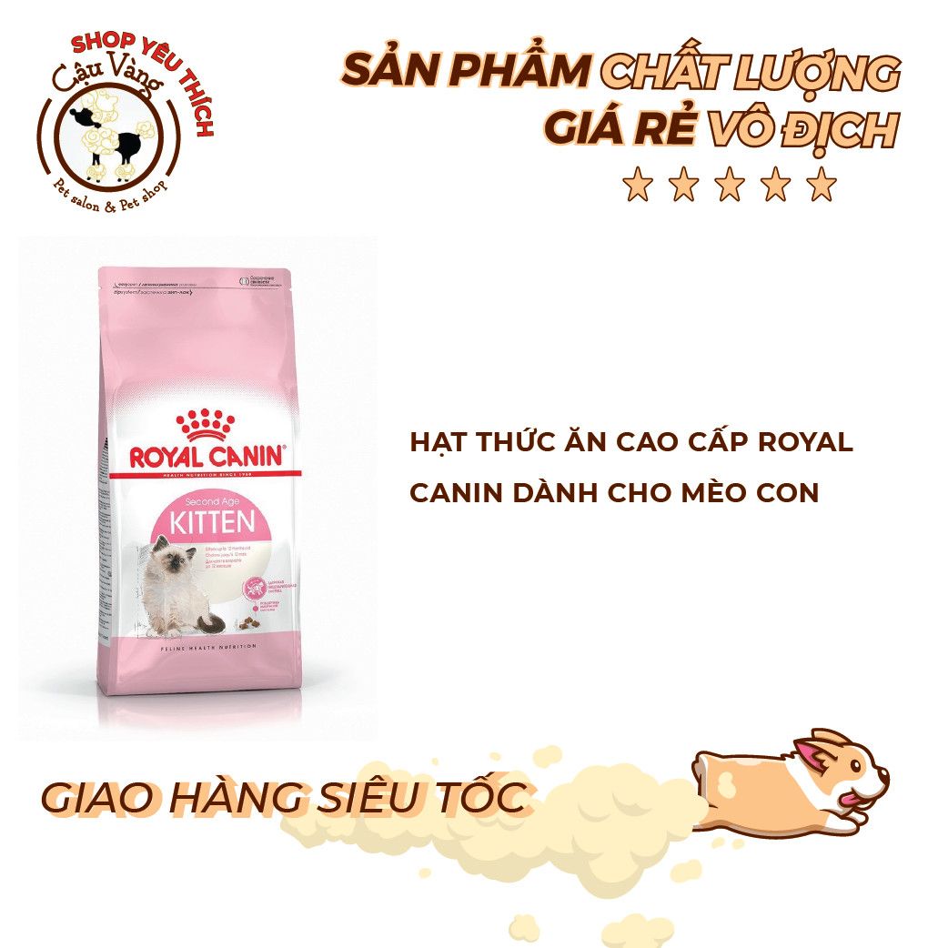  [ hạt mèo ] Thức ăn hạt Royal canin Kitten cho mèo con túi chiết 1kg 