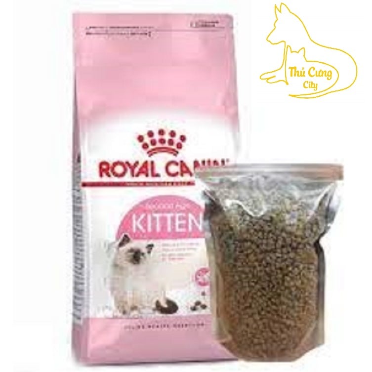 Royal canin hotsell kitten repack