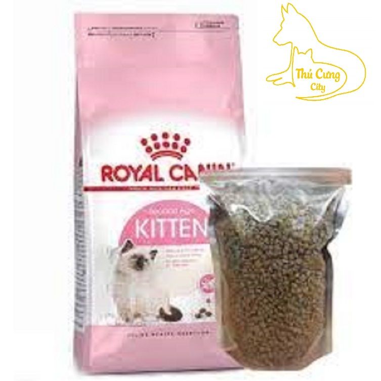  [ hạt mèo ] Royal Canin Kitten Túi chiết 1kg 