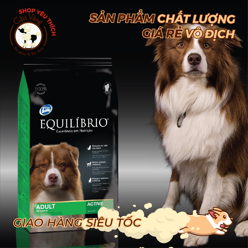  [ hạt chó ] Thức ăn cho chó trưởng thành EQUILIBRIO Adult Dog túi 2kg 