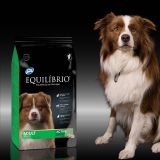  [ hạt chó ] Thức ăn cho chó trưởng thành EQUILIBRIO Adult Dog túi 2kg 