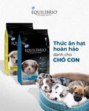  [ hạt chó ] Thức ăn chó hỗn hợp hoàn chỉnh cho chó con EQUILIBRIO puppies túi 2kg 