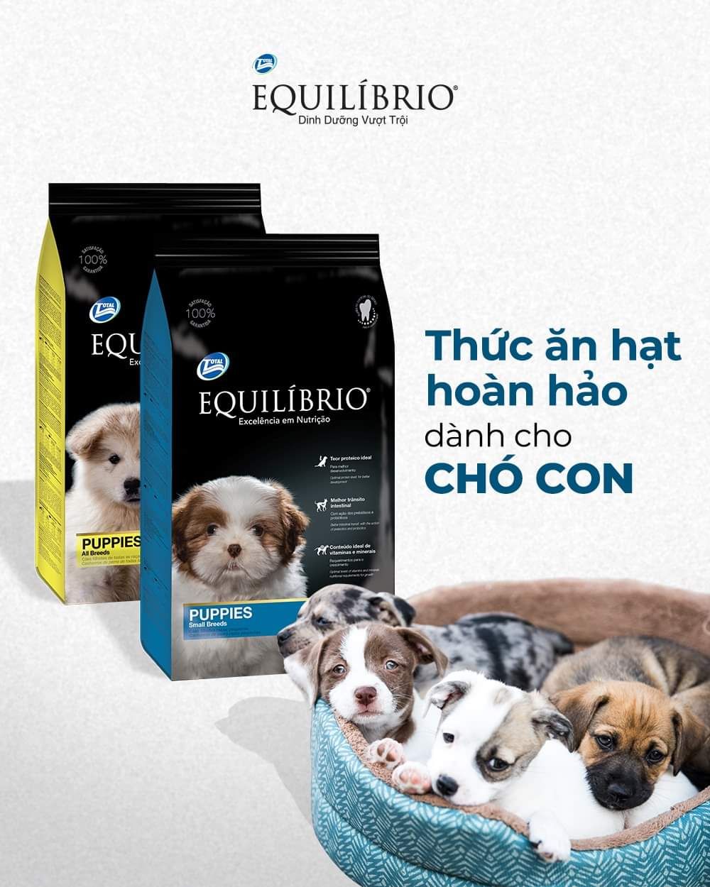  [ hạt chó ] EQUILIBRIO Small Breed Adult | Thức ăn hoàn chỉnh cho chó trưởng thành tầm vóc nhỏ - túi 2kg 