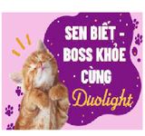  [ hạt mèo ] Duolight Cat  thức ăn cho mèo - hỗ trợ lông da, tiêu búi lông, tiểt niệu - vị cá hồi + gà + rau củ-  túi chiết 1kg 