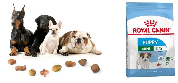  [ hạt chó ] Royal Canin Mini Puppy - Thức ăn khô cho chó con 