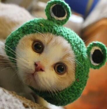 [ phụ kiện ] Mũ len thời trang dễ thương cho chó mèo 