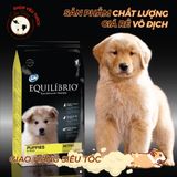  [ hạt chó ] Thức ăn chó hỗn hợp hoàn chỉnh cho chó con EQUILIBRIO puppies túi 2kg 