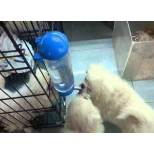  [ phụ kiện ] Bình nước cho chó mèo - Bình nước tự động gắn chuồng 400ml cho chó mèo 