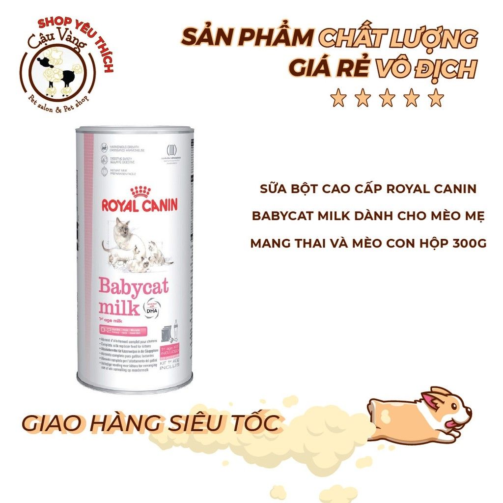  [ dinh dưỡng ] Sữa Bột Dinh Dưỡng Cho Mèo Con Babycat Milk Royal Canin 300g 