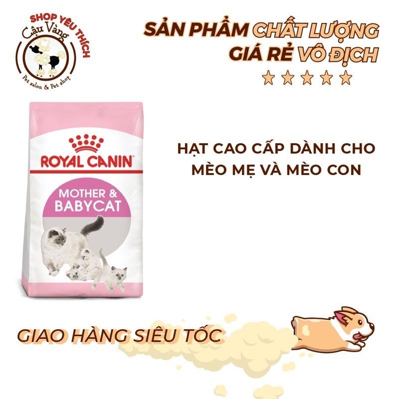  [ hạt mèo Hạt Khô Cho Mèo Con Royal Canin Mother and Baby Cat Dành Cho Mèo Nhỏ Từ 1-4 Tháng Tuổi  Túi Nguyên 2 kg - Chất Lượng Cao 