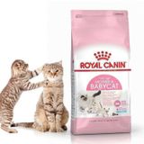  [ hạt mèo Hạt Khô Cho Mèo Con Royal Canin Mother and Baby Cat Dành Cho Mèo Nhỏ Từ 1-4 Tháng Tuổi  Túi Nguyên 2 kg - Chất Lượng Cao 