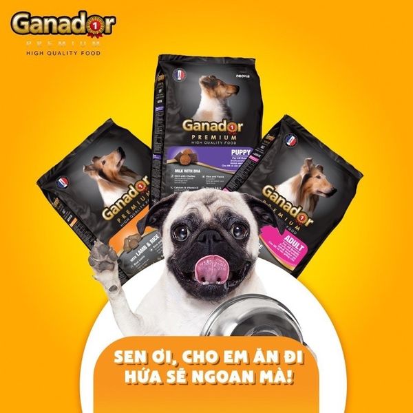 Thức ăn cho chó u2013 cauvangpetshop