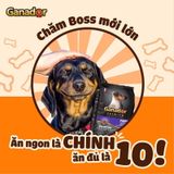  [ hạt chó ] Thức Ăn Hạt Khô Ganador Cho Chó Con, Chó Lớn túi 3 Kg 