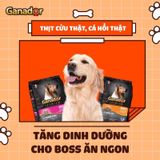  [ hạt chó ] Thức Ăn Hạt Khô Ganador Cho Chó Con, Chó Lớn túi 3 Kg 