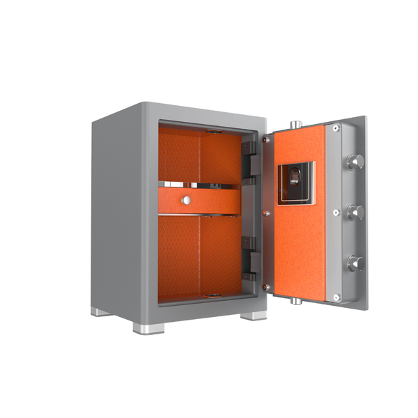 Két Sắt Philips SBX601-6B0