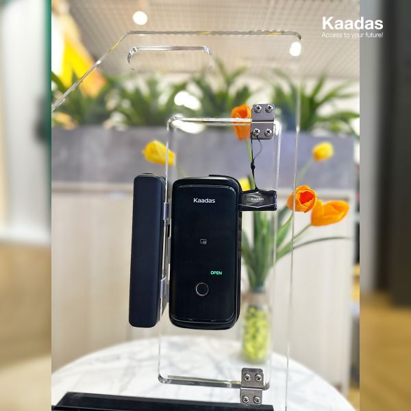 Khoá cửa Kaadas R8-5GL điện tử thông minh thiết kế cho hệ cửa kính