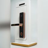 Khoá cửa Kaadas S500-5W điện tử thông minh wifi 