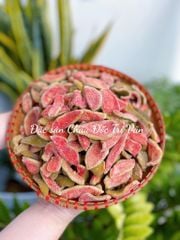 ỔI SẤY DẺO