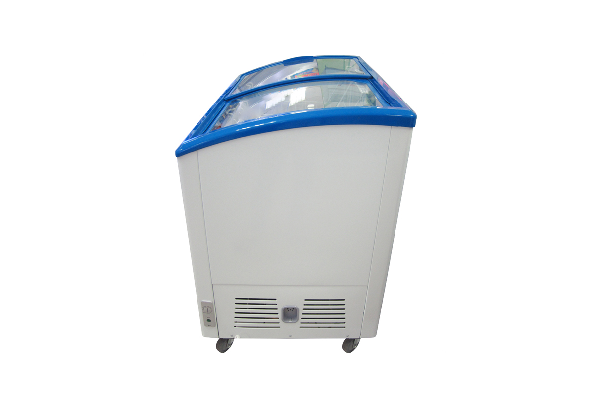 Tủ đông Sanaky 260 lít VH382K