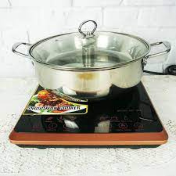 Bếp từ đơn Magic MG-502