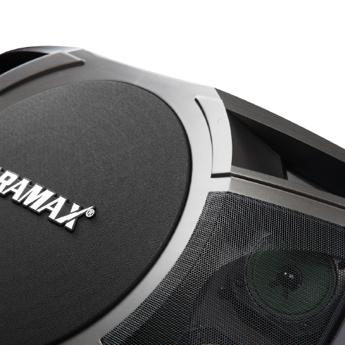 Loa PARAMAX P-2000