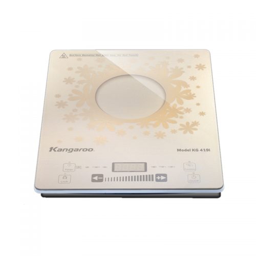 Bếp điện từ đơn siêu mỏng KG419i