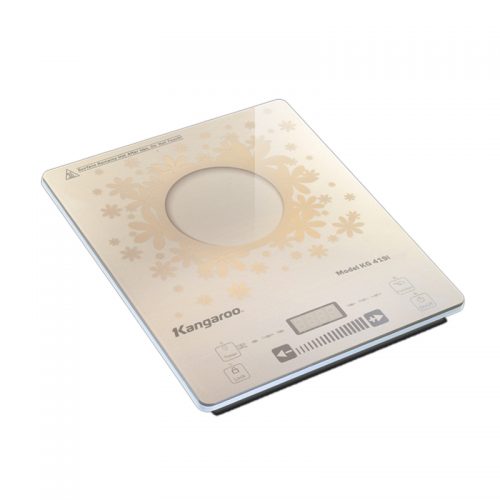 Bếp điện từ đơn siêu mỏng KG419i