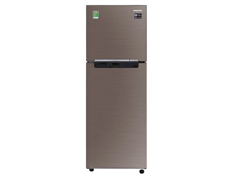 Tủ lạnh Samsung Inverter 236 lít RT22M4040DX/SV