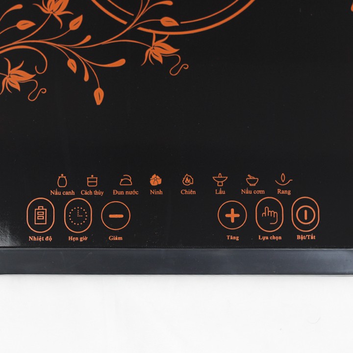 Bếp điện từ cảm ứng Fujika FJ-BT19