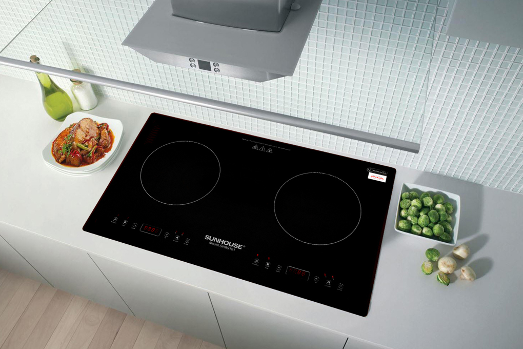 Bếp điện từ cảm ứng Fujika FJ-BT19